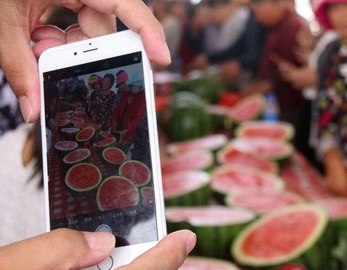 内黄县吃瓜,瓜果飘香，品味乡愁