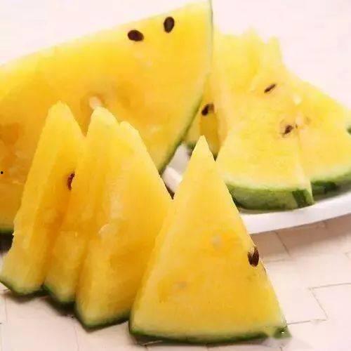 带你吃瓜最下饭,美食相伴，尽享生活乐趣