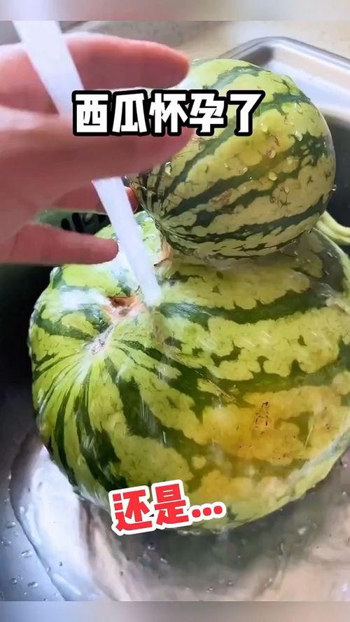 搞笑动画吃瓜视频,笑料横生！吃瓜视频带你领略搞笑动画的魅力