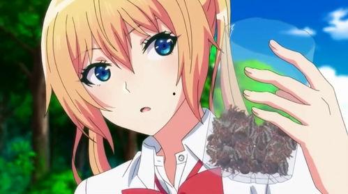 吃瓜少女小橘子视频,揭秘娱乐圈幕后故事