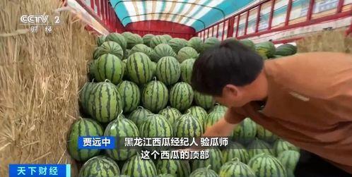 他们是怎么吃瓜,揭秘吃瓜群众的独特吃瓜方式