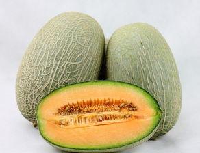 哈密瓜和玉米能一起吃,营养互补的美食探索