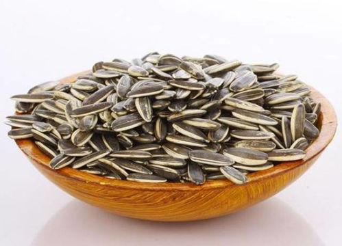 吃瓜 吃瓜子 板凳,板凳上的悠闲时光