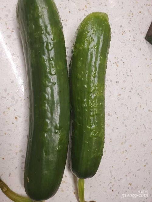 像黄瓜的瓜怎么吃,探索黄瓜的独特吃法