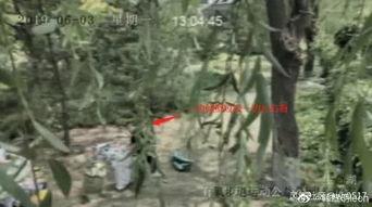 吃瓜前线剧情介绍,揭秘娱乐圈背后的风云变幻