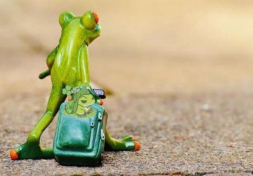 青蛙卖崽吃瓜,一场吃瓜引发的欢乐风波