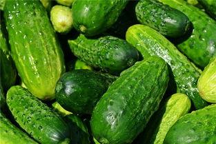 孕妇梦见吃长条瓜,长条瓜的寓意与启示