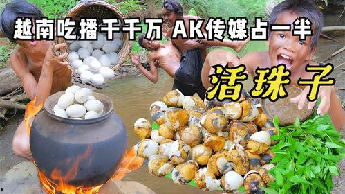 ak传媒吃瓜,吃瓜群众背后的娱乐帝国