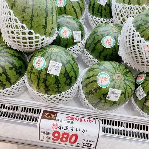 日本写真吃瓜,揭秘美食背后的“吃瓜”文化