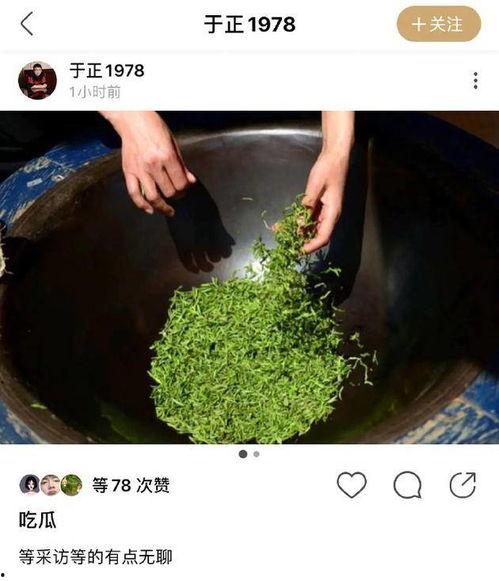 于正晒绿茶照吃瓜,娱乐圈新瓜又来了？