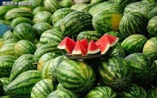 机地佬吃瓜视频,一场网络狂欢的幕后故事