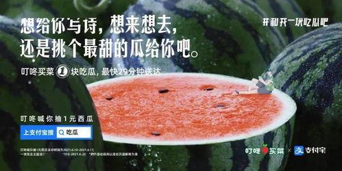 吃瓜求婚文案,一场别开生面的吃瓜求婚记