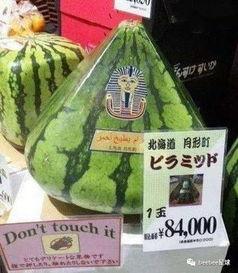 中国霸气吃瓜群众,揭秘网络舆论场的力量与魅力