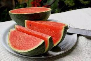 扬州消防吃瓜,一场意外引发的舆论风波