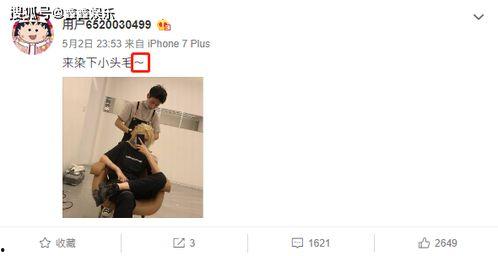 明星知乎吃瓜,揭秘娱乐圈背后的真实故事