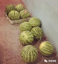 吃瓜群众波哥,揭秘娱乐圈那些吃瓜群众的幕后故事