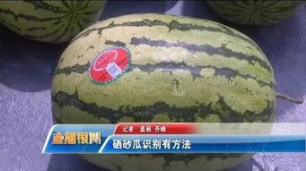 快速学习吃瓜视频