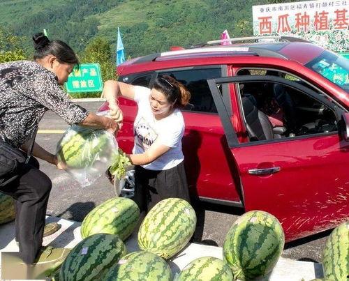 曲靖吃瓜群众,揭秘当地热点事件背后的真相