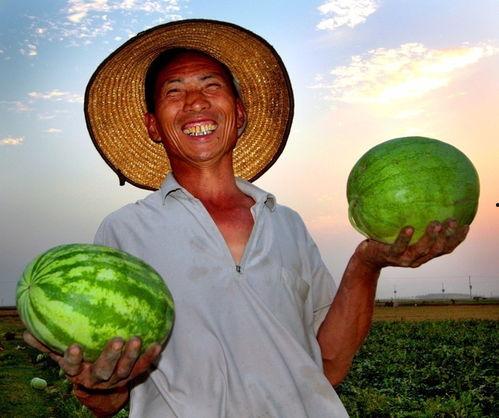 寿县吃瓜群众,吃瓜群众的热议焦点