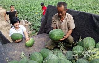 梁山吃瓜,揭秘古代英雄的休闲生活