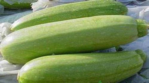 小孩吃茭瓜好吗,小孩食用好处多多