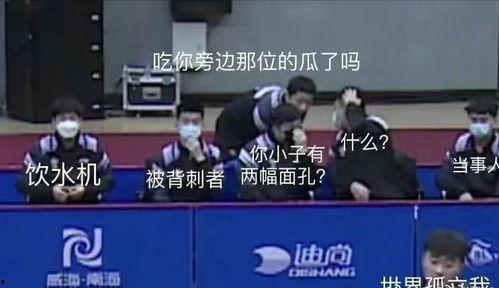 国乒吃瓜微博,揭秘微博热议背后的精彩瞬间