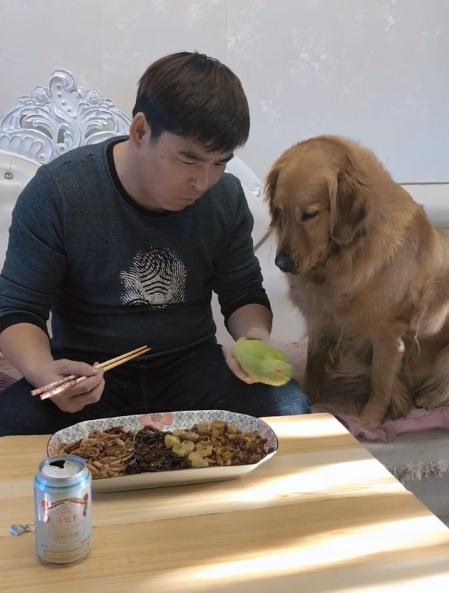 吃瓜哥金毛,揭秘娱乐圈的“金毛”传奇