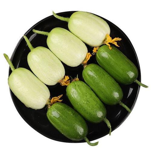 佛手瓜是玉女瓜吗怎么吃,玉女瓜的养生之道与美味食法