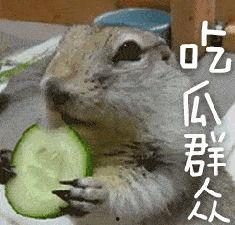 带你吃瓜新暗号