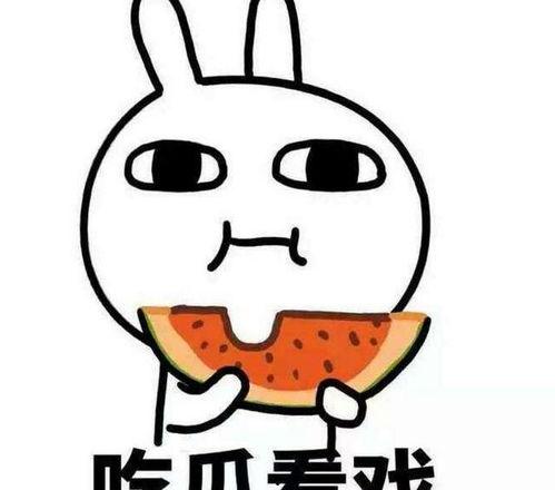 理性吃瓜的意思