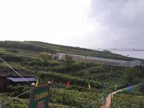 上饶婺源吃瓜事件,一场网络热议背后的真相与反思