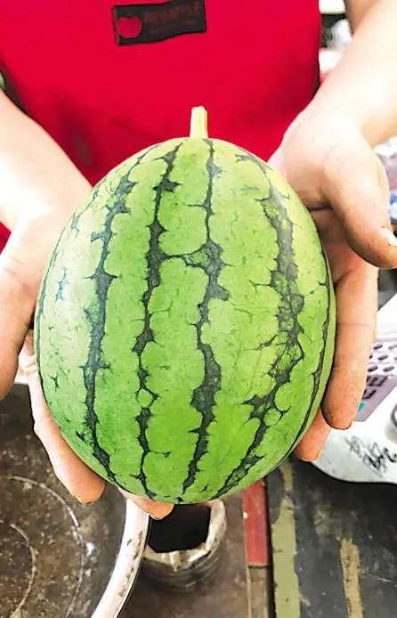 平度吃瓜群众事件,网络围观下的社会现象解析