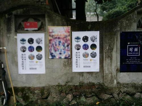 摄影大咖吃瓜,揭秘幕后趣闻与行业风云