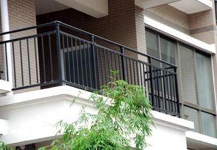 5米栏杆吃瓜,一场别开生面的吃瓜盛宴