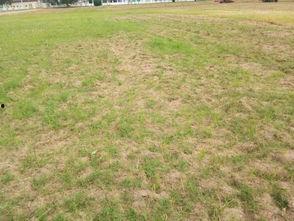 道具在树下吃瓜,探寻神秘道具的奇幻之旅