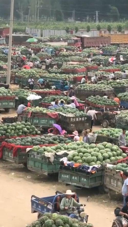 吃瓜入口地址,揭秘“吃瓜入口”背后的热门话题与现象
