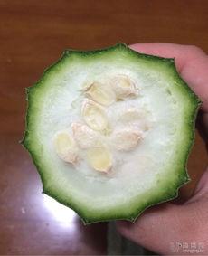 到底吃的什么瓜,这场“瓜”背后的真相与秘密